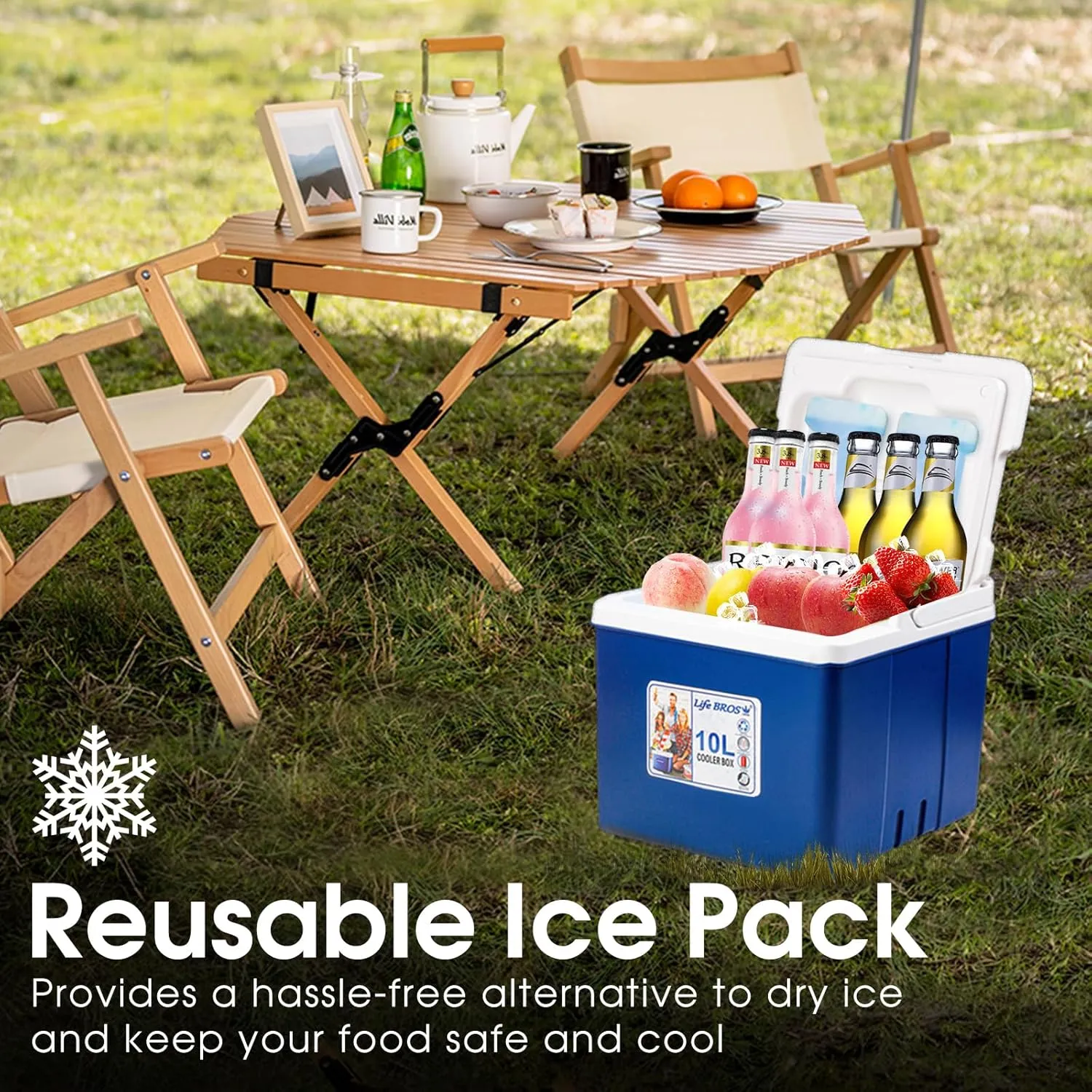 11Qt 19Qt Insulated Portable Cooler Leak-Proof Ice Chest Lunch Box Hard Coolers with Extra Ice Pack for BBQ, Camping, Pincnic