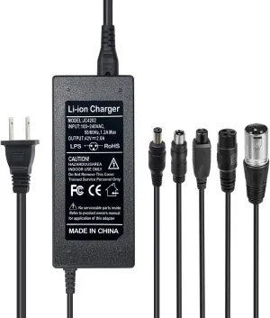 42V 2A Charger 5 Plugs for Scooter 36V Lithium Battery, Pack DC 5.5 * 2.1 with 8mm 3 Prong Connector /12mm 3 Prong Connector /8mm RCA Connector/ 3-Pin Male XLR Connector