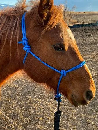 5/16" Firm HOOKIN’ HALTERS®-Size Horse