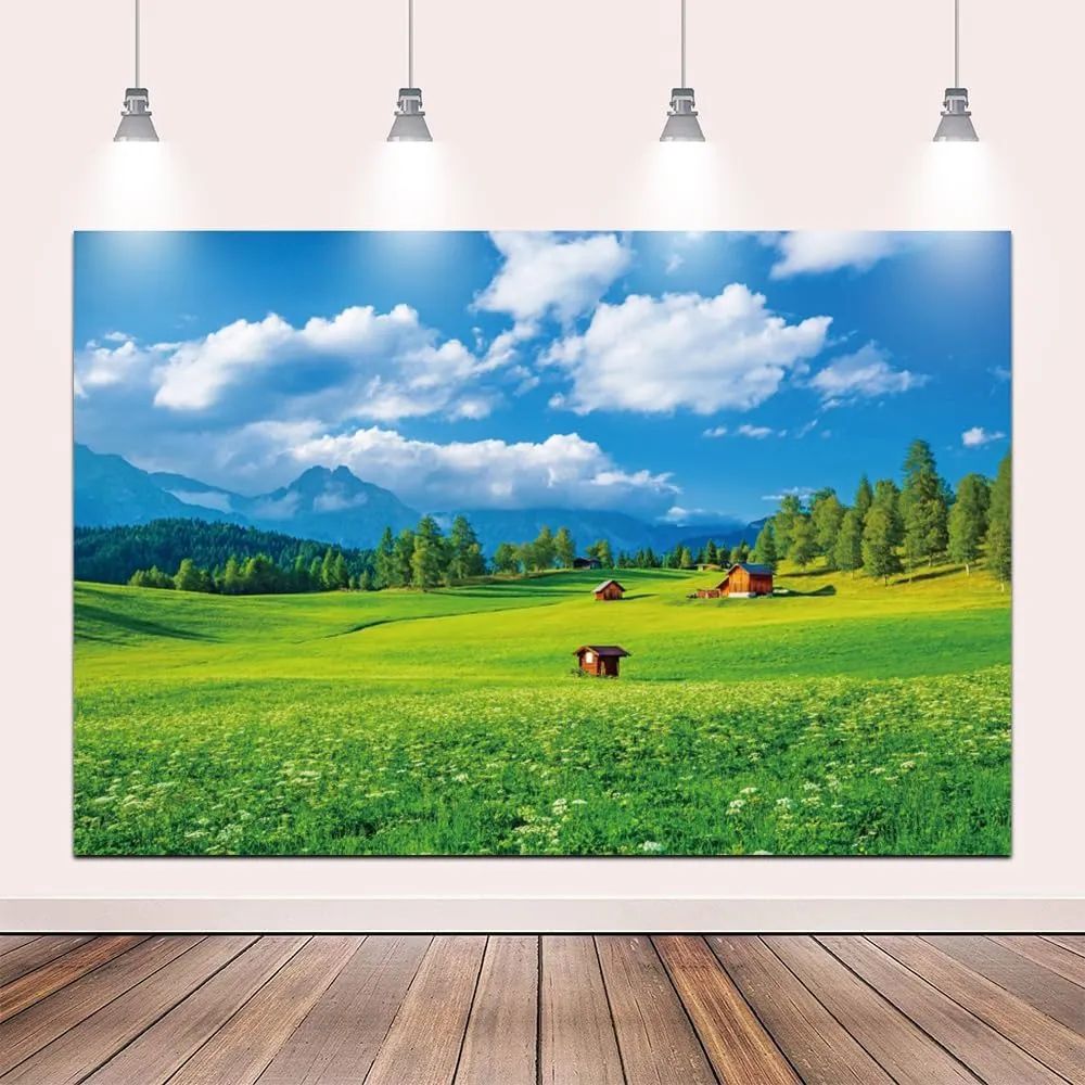 8x6ft Summer Countryside Mountain Scenery Backdrop Green Grass Rustic Farmhouse Farm Background Farmland Barn Photography Backdrop for Birthday Party Grassland Landscape Backdrop