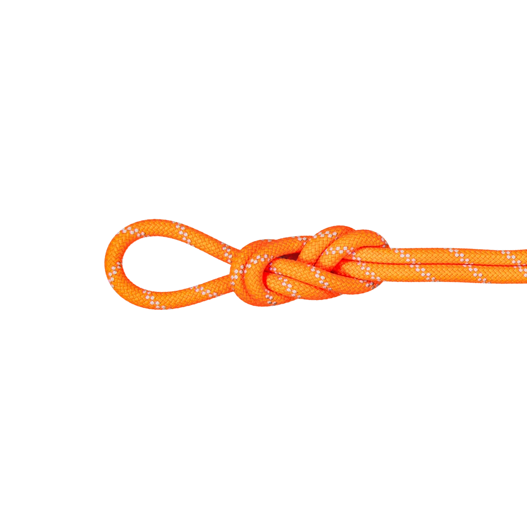 9.5 Alpine Dry Rope