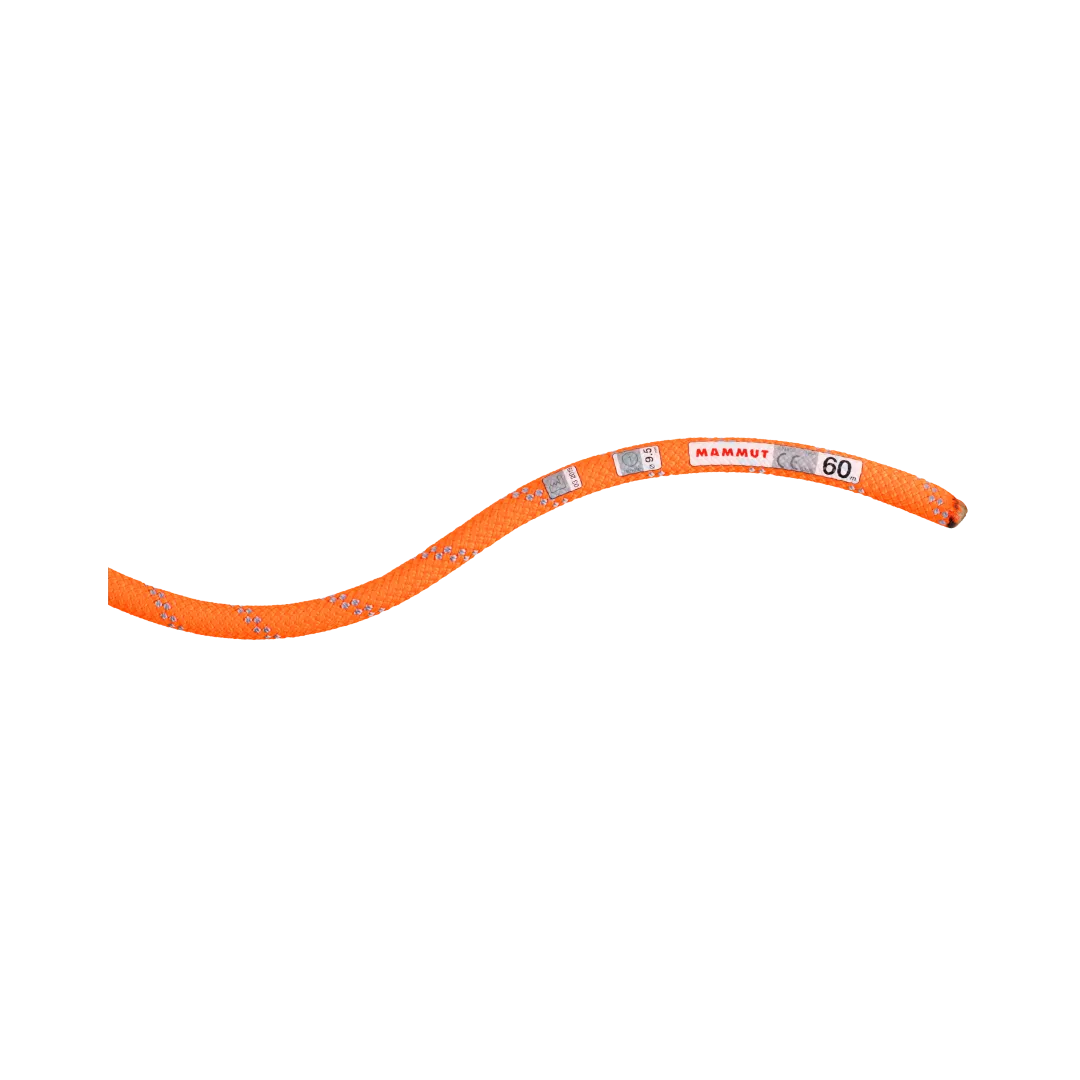 9.5 Alpine Dry Rope