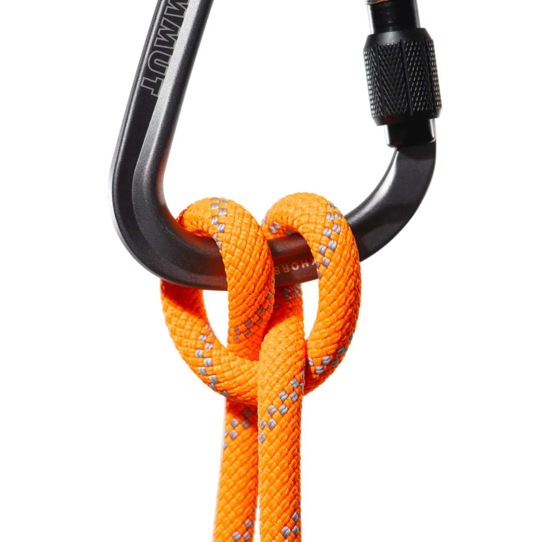 9.5 Alpine Dry Rope