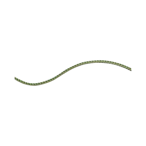 Accessory Cord