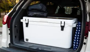 BISON COOLERS Rotomolded Cooler Extreme Engineered Durability with Hard Shell, Lid and Liner | Long Lasting Ice Chest with Double Insulated Walls | Made in The USA