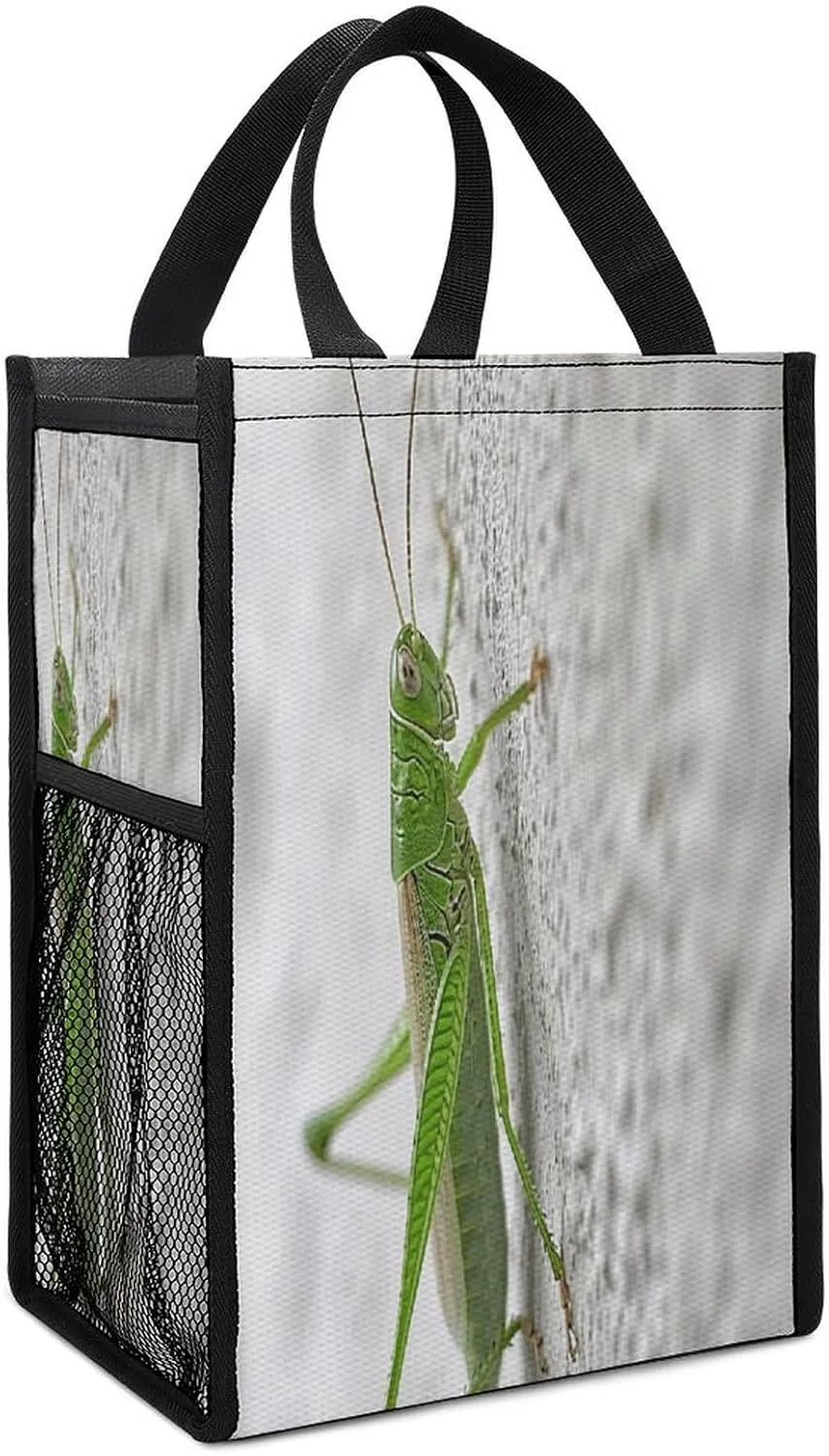 Classic Lunch Box for Men Women,Green Grasshopper Image Reusable Insulated Lunch Bag Cooler for Work Picnic Or Travel