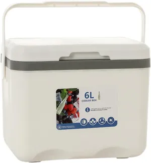 Cooler for Honda Accord/Civic/CR-V/HR-V/Integra/Jazz/Odyssey/ZR-V Insulated Hard Ice Box Large High-Performance Storage Box Portable Cool Picnic Box Festival Camping,A-27 * 18 * 23cm