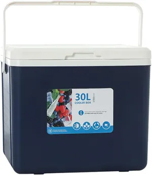 Cooler for Suzuki Across/Alto/Baleno/Grand Vitara/Ignis/Jimny Insulated Hard Ice Box Large High-Performance Storage Box Portable Cool Picnic Box Festival Camping,B-38 * 30.5 * 34.5cm
