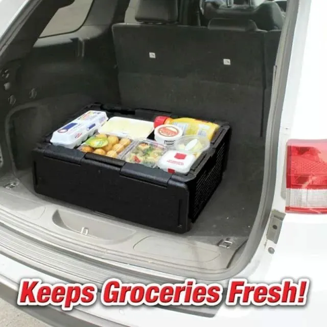 Foldable insulated car cooler box