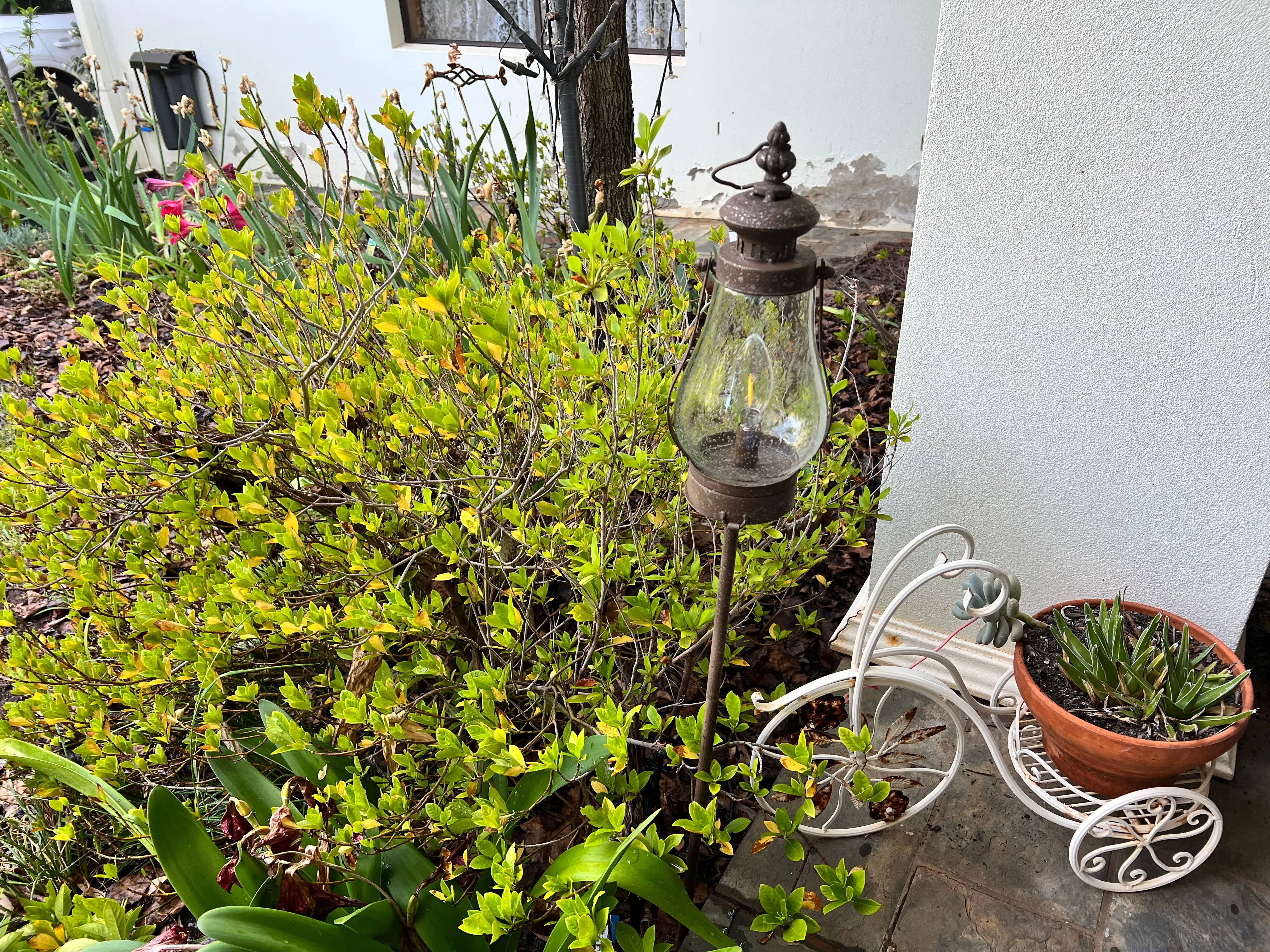 Garden Lantern on Stake - Battery operated