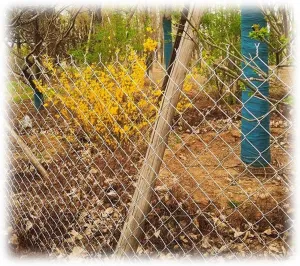 GZHERVICES Galvanized Steel Wire Rope Netting, 2.5mm Thick Anti-Rust Steel Wire Mesh Fencing Roll Animal Poultry Cage Net Fence System Football Field Fence Garden Net (Color : 2.5mm, Size : 1.2x20m)