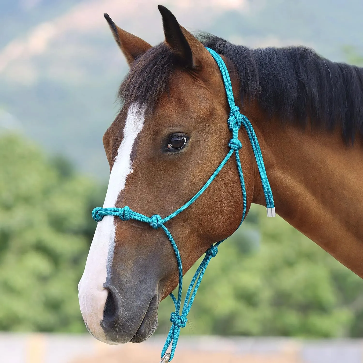 Harrison Howard Super Sturdy Horse Rope Training Halter with 4 Knot 1/4" Stiff Halter Cord