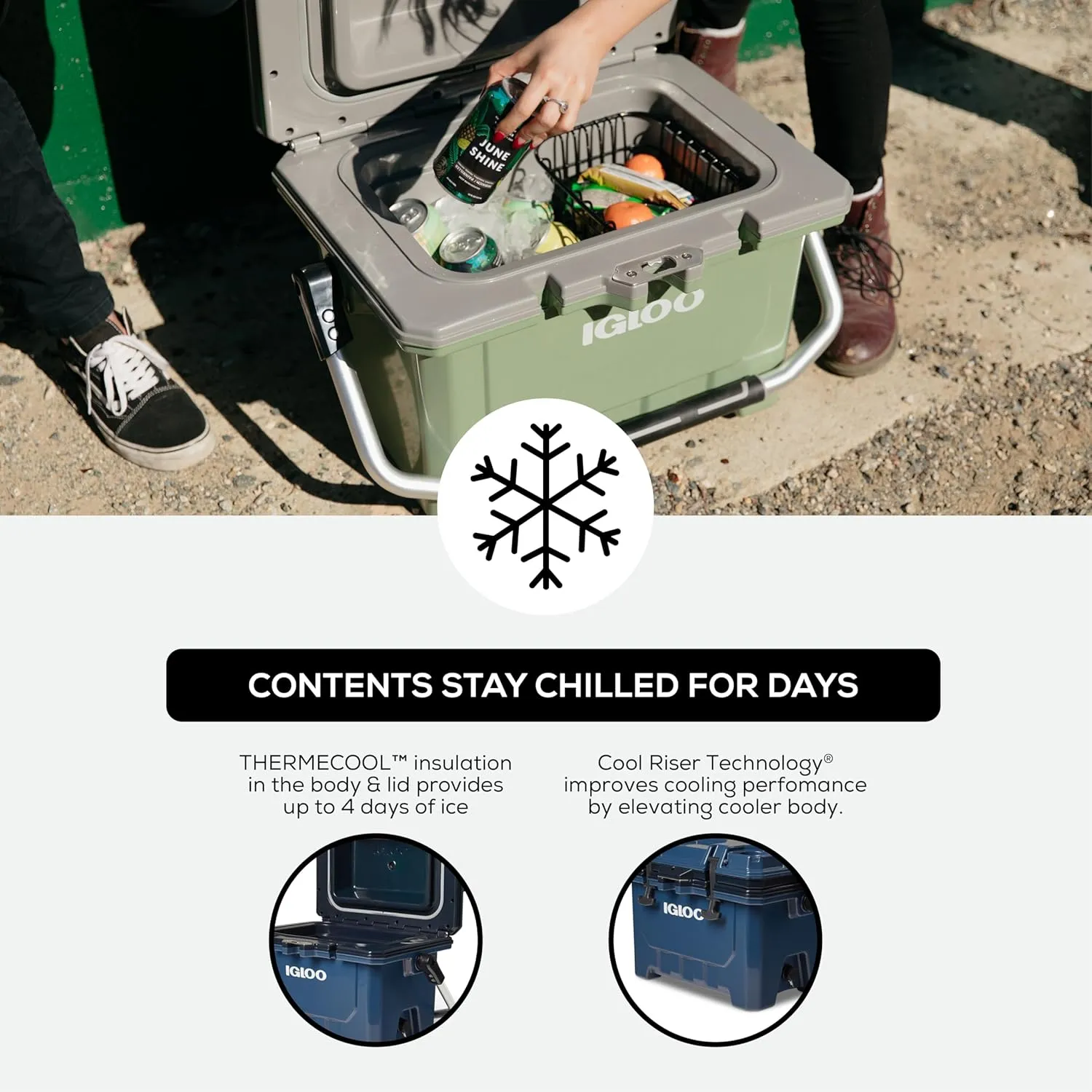 Igloo IMX Hard Coolers