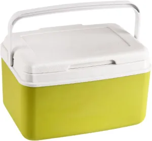 Insulated Cooler Box Ice Retention Cooler Freezer Multipurpose Car Refrigerator Ice Chest Small Hard for Barbecue Boat Beach