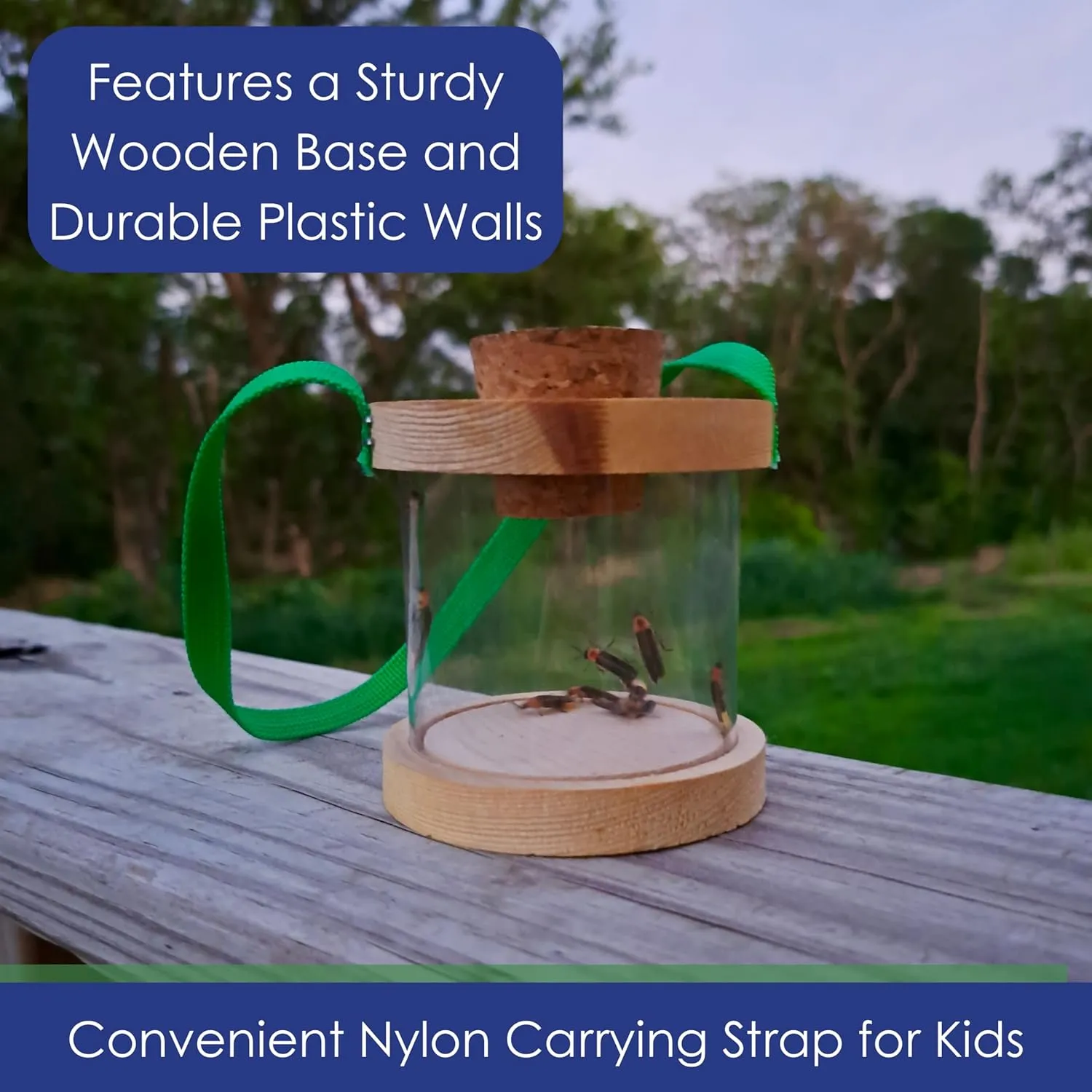 Kids Lightning Bug and Firefly Lantern, Plexiglass Chamber with Wooden Base