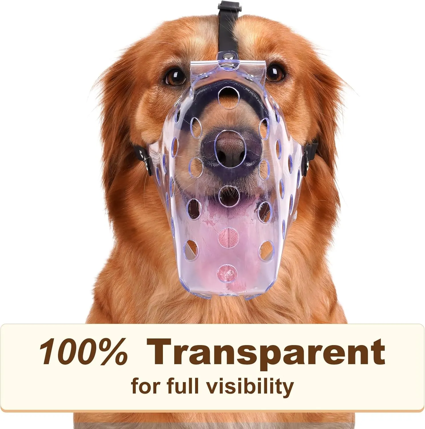 Mayerzon Dog Muzzle, Basket Muzzle for Large Medium Small Dogs, Humane Cage Mouth Guard to Prevent Biting Chewing Eating, Breathable Muzzle for Grooming Training Walking Vet Visits (XL, Clear)