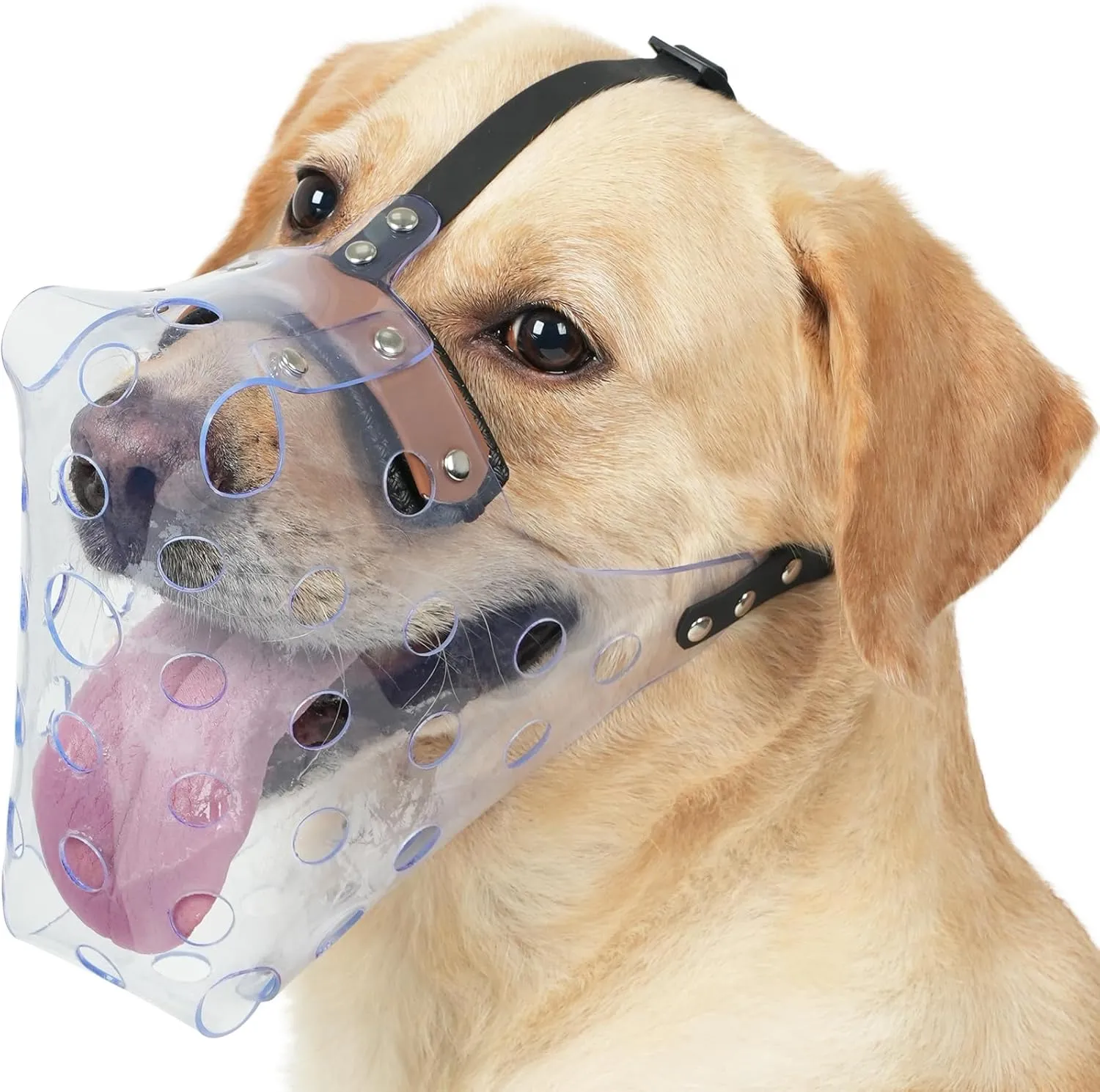 Mayerzon Dog Muzzle, Basket Muzzle for Large Medium Small Dogs, Humane Cage Mouth Guard to Prevent Biting Chewing Eating, Breathable Muzzle for Grooming Training Walking Vet Visits (XL, Clear)