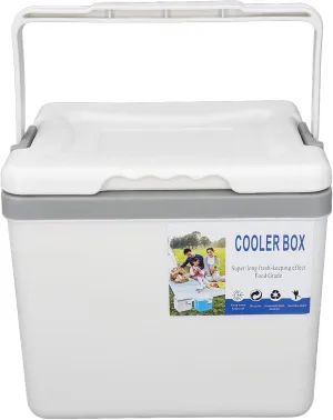 Portable Cooler Box, Insulated Hard Shell Cooler Box 6L for Picnic