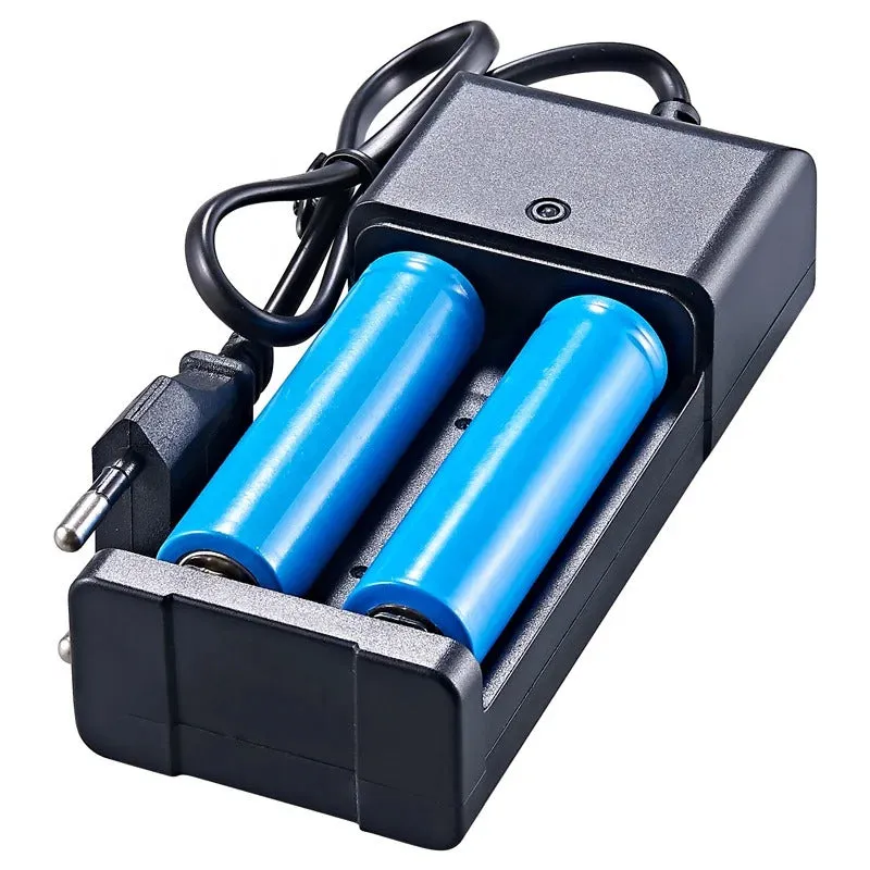 Premium Dual Slot 18650 Lithium Battery Charger