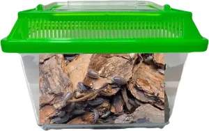 Roly Poly Farm(Assorted Colors), Pocket Habitat, and Roly Poly kit for Kids (Fast Producing Colony   10 Blue Merle Rolies) Available only if Your Local 5 Day temperatures are Between 20-95 Degrees