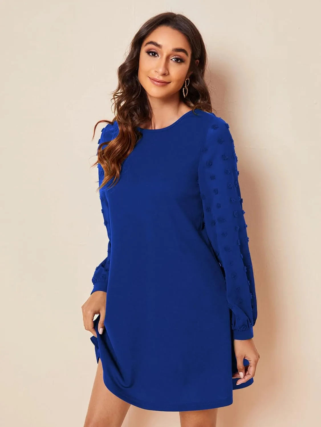 SweatyRocks Women's Elegant Mesh Contrast Long Sleeve A Line Mini Short Dress