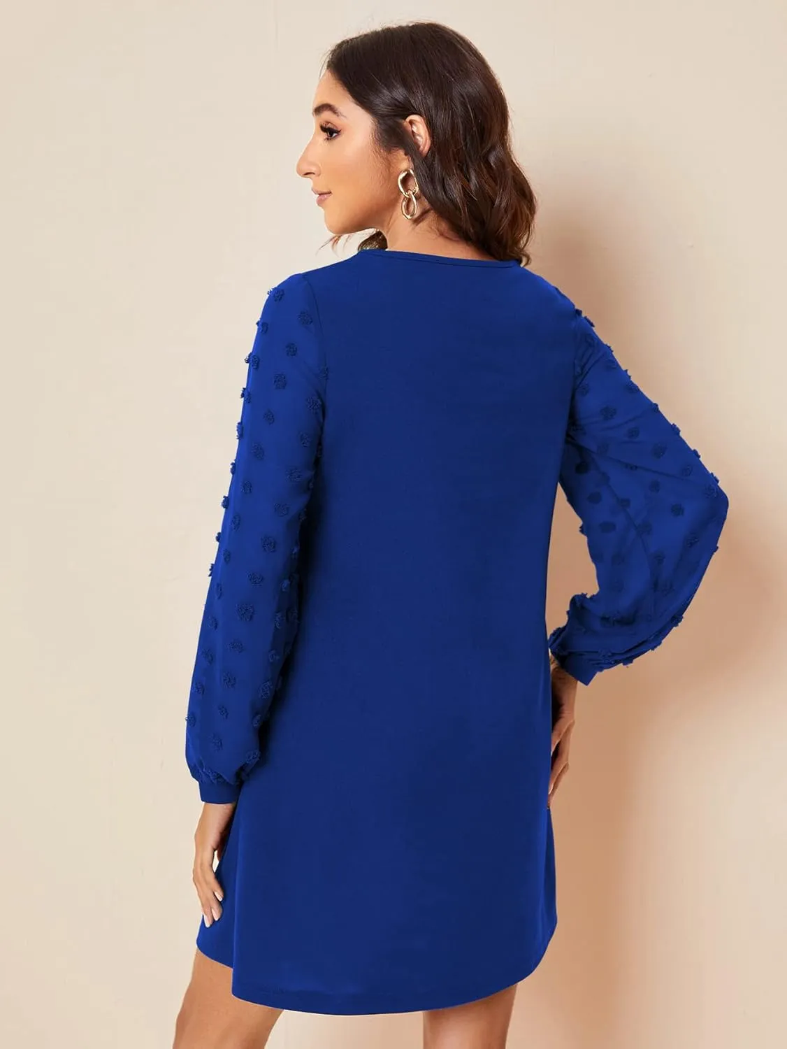 SweatyRocks Women's Elegant Mesh Contrast Long Sleeve A Line Mini Short Dress