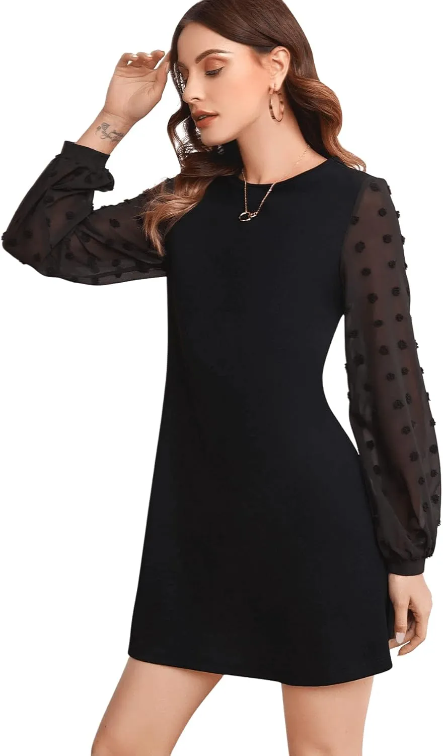 SweatyRocks Women's Elegant Mesh Contrast Long Sleeve A Line Mini Short Dress