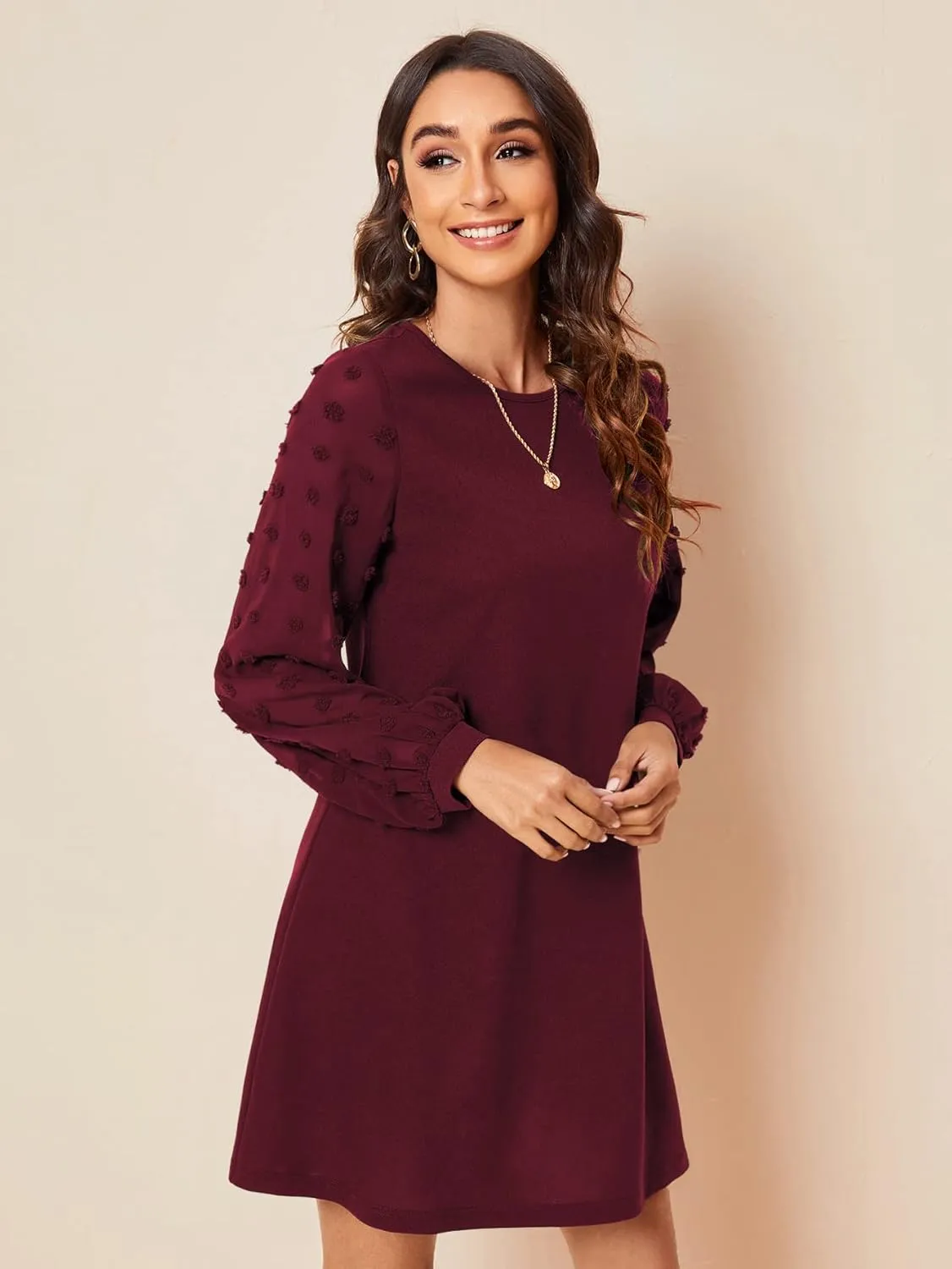 SweatyRocks Women's Elegant Mesh Contrast Long Sleeve A Line Mini Short Dress
