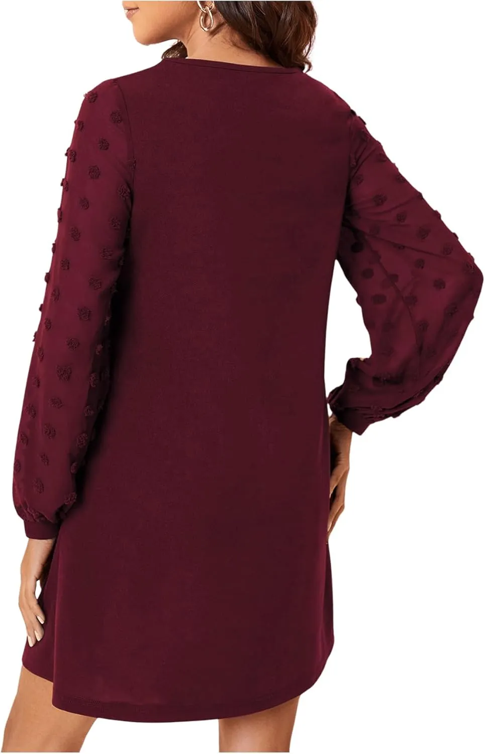 SweatyRocks Women's Elegant Mesh Contrast Long Sleeve A Line Mini Short Dress